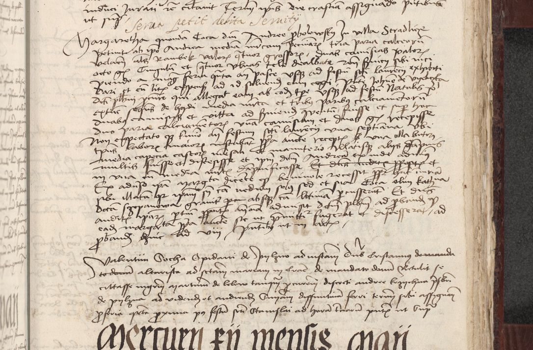 Zdjęcie nr 345 dla obiektu archiwalnego: [Acta actorum officialia coram Stanislao de Swieradzicze]