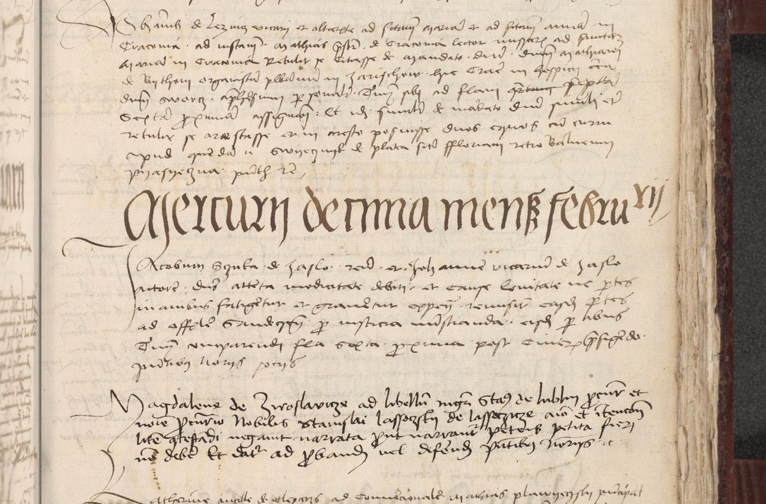 Zdjęcie nr 330 dla obiektu archiwalnego: [Acta actorum officialia coram Stanislao de Swieradzicze]