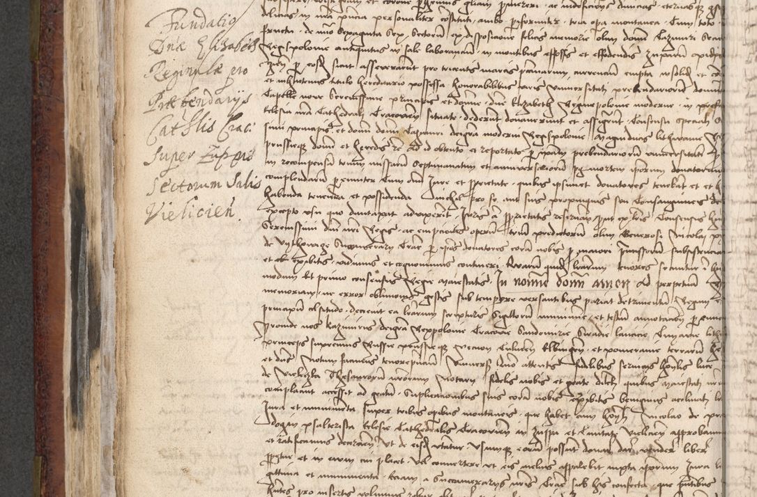 Zdjęcie nr 521 dla obiektu archiwalnego: [Acta actorum officialia coram Stanislao de Swieradzicze]