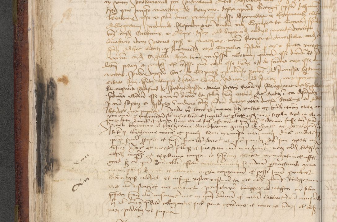 Zdjęcie nr 463 dla obiektu archiwalnego: [Acta actorum officialia coram Stanislao de Swieradzicze]