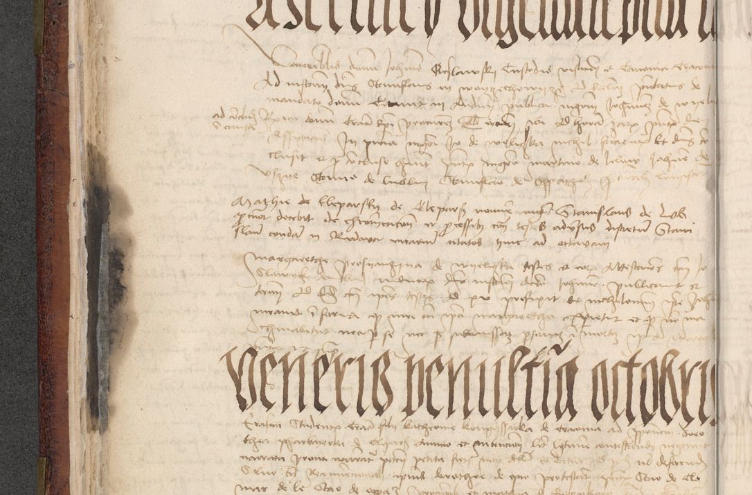 Zdjęcie nr 456 dla obiektu archiwalnego: [Acta actorum officialia coram Stanislao de Swieradzicze]