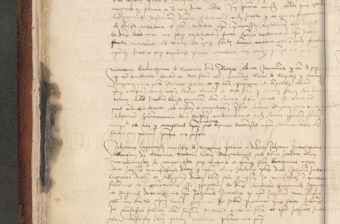 Zdjęcie nr 455 dla obiektu archiwalnego: [Acta actorum officialia coram Stanislao de Swieradzicze]