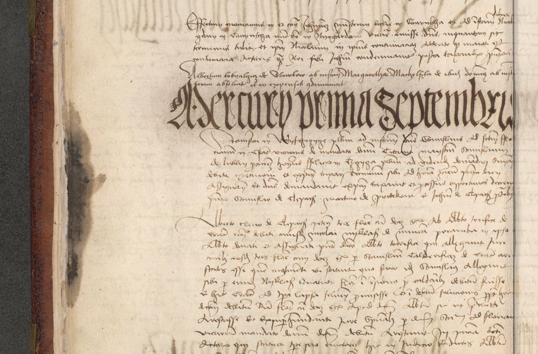 Zdjęcie nr 449 dla obiektu archiwalnego: [Acta actorum officialia coram Stanislao de Swieradzicze]