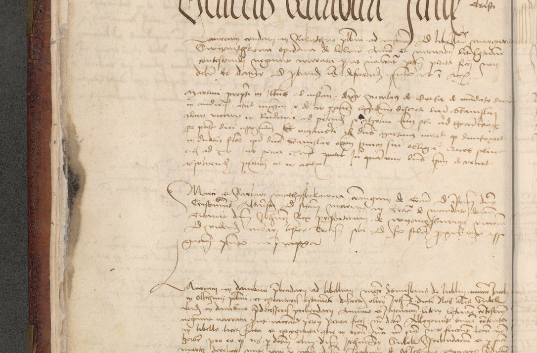 Zdjęcie nr 443 dla obiektu archiwalnego: [Acta actorum officialia coram Stanislao de Swieradzicze]