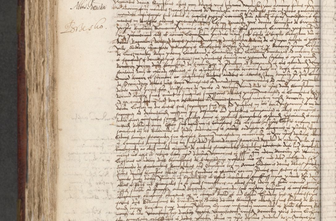 Zdjęcie nr 718 dla obiektu archiwalnego: [Acta actorum officialia coram Stanislao de Swieradzicze]