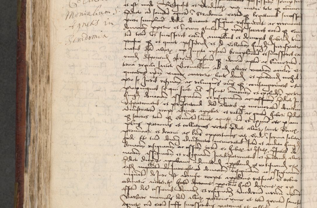 Zdjęcie nr 644 dla obiektu archiwalnego: [Acta actorum officialia coram Stanislao de Swieradzicze]