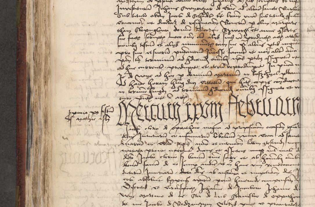 Zdjęcie nr 595 dla obiektu archiwalnego: [Acta actorum officialia coram Stanislao de Swieradzicze]