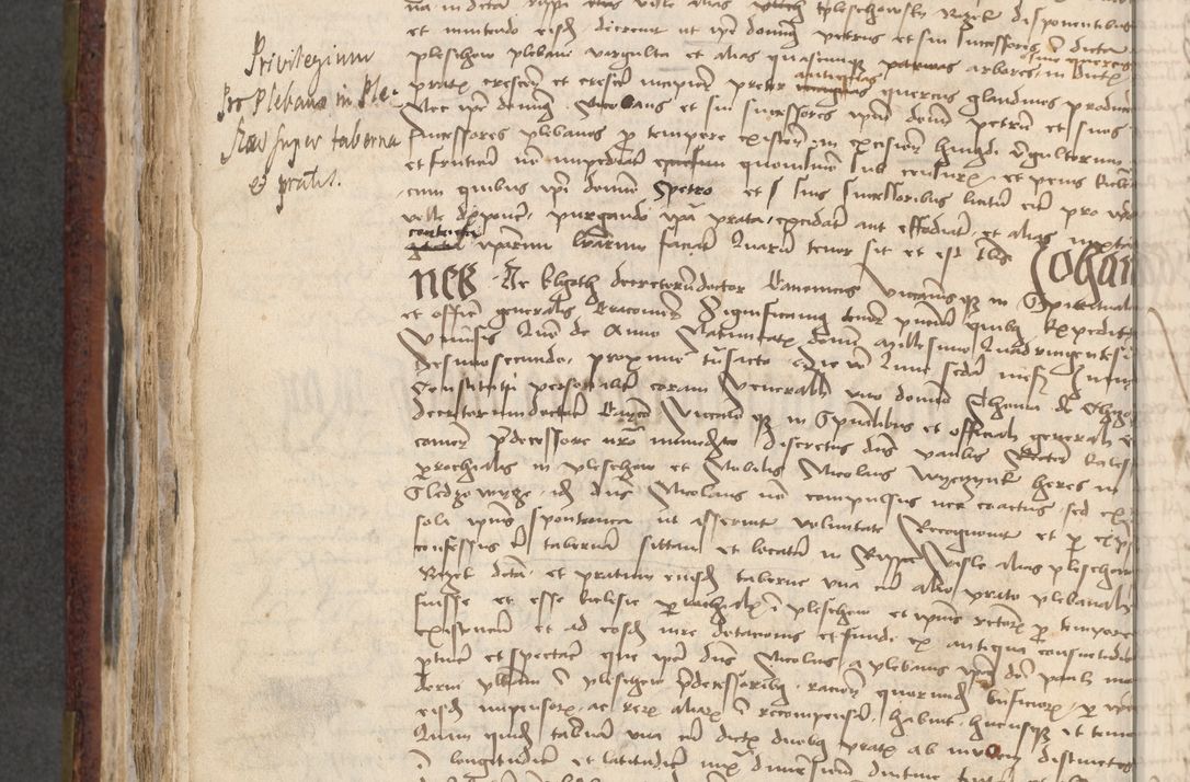 Zdjęcie nr 558 dla obiektu archiwalnego: [Acta actorum officialia coram Stanislao de Swieradzicze]