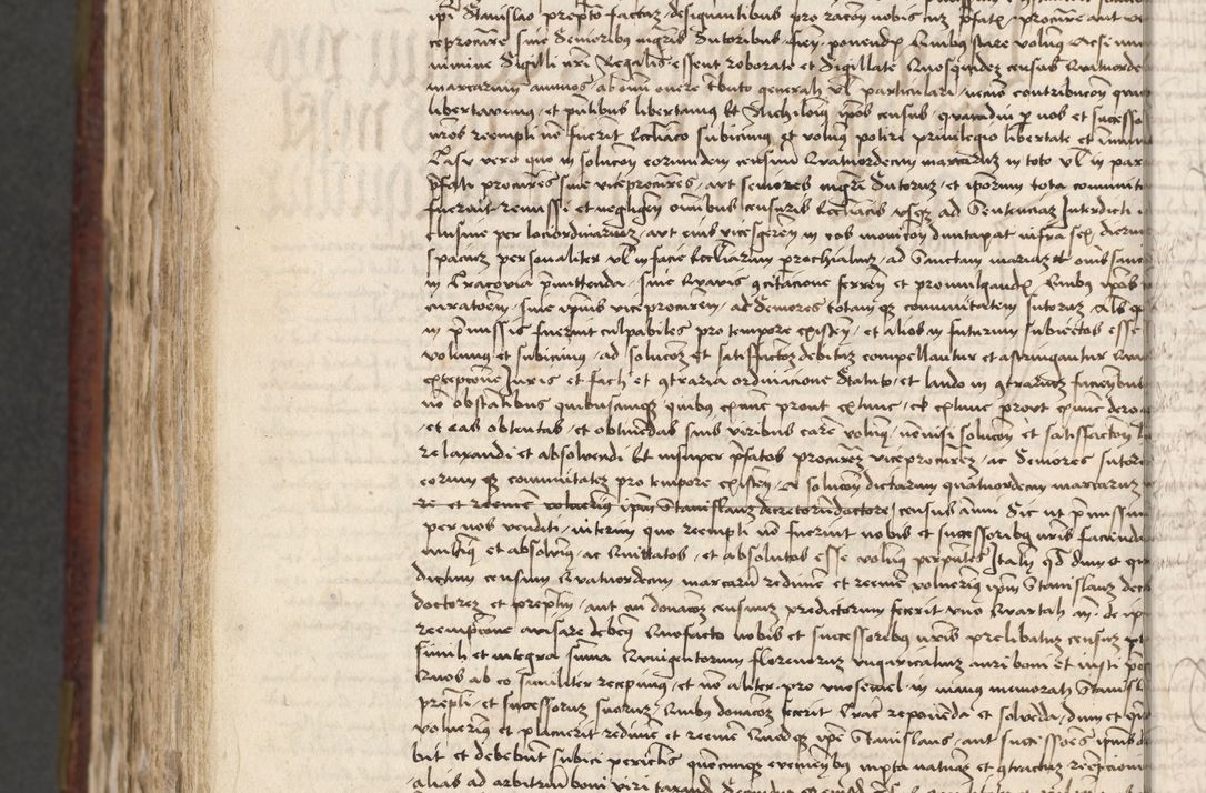 Zdjęcie nr 787 dla obiektu archiwalnego: [Acta actorum officialia coram Stanislao de Swieradzicze]