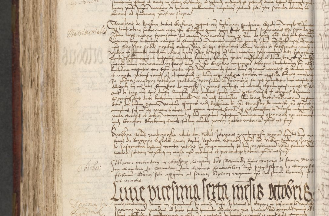 Zdjęcie nr 738 dla obiektu archiwalnego: [Acta actorum officialia coram Stanislao de Swieradzicze]