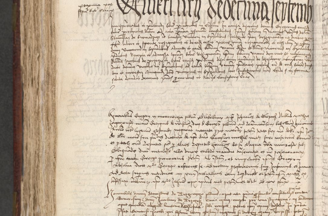 Zdjęcie nr 733 dla obiektu archiwalnego: [Acta actorum officialia coram Stanislao de Swieradzicze]