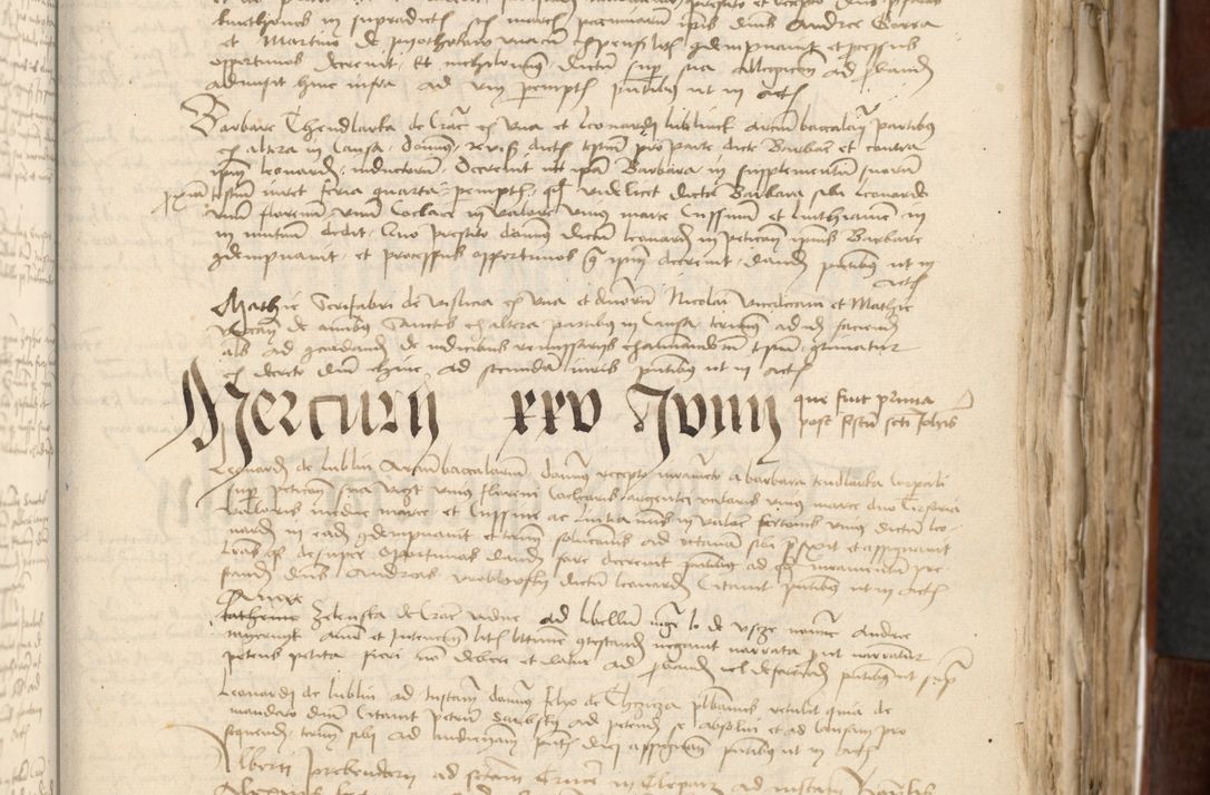 Zdjęcie nr 197 dla obiektu archiwalnego: Acta actoru[m coram venerabili viro] domino Joh[anne de Lathoschin, sacre] theologie [et decretorum] doctore [canonico et officiali Cracoviensi] generali [anno Domini millesimo] quadringen[tesimo nonagesimo tercio] indicione [XI, pontificatus sanctis]simi in Christo [patris domini nostri domini] Allexandri [divina providencia pape] sexti, anni [ipsius primo]