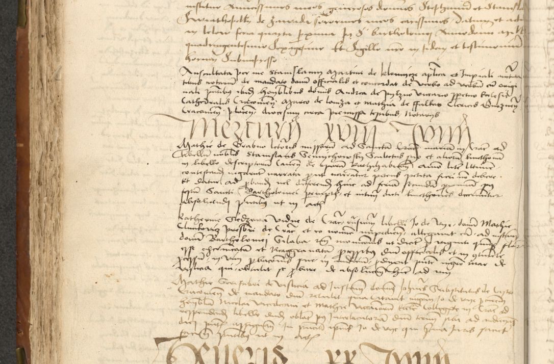 Zdjęcie nr 194 dla obiektu archiwalnego: Acta actoru[m coram venerabili viro] domino Joh[anne de Lathoschin, sacre] theologie [et decretorum] doctore [canonico et officiali Cracoviensi] generali [anno Domini millesimo] quadringen[tesimo nonagesimo tercio] indicione [XI, pontificatus sanctis]simi in Christo [patris domini nostri domini] Allexandri [divina providencia pape] sexti, anni [ipsius primo]