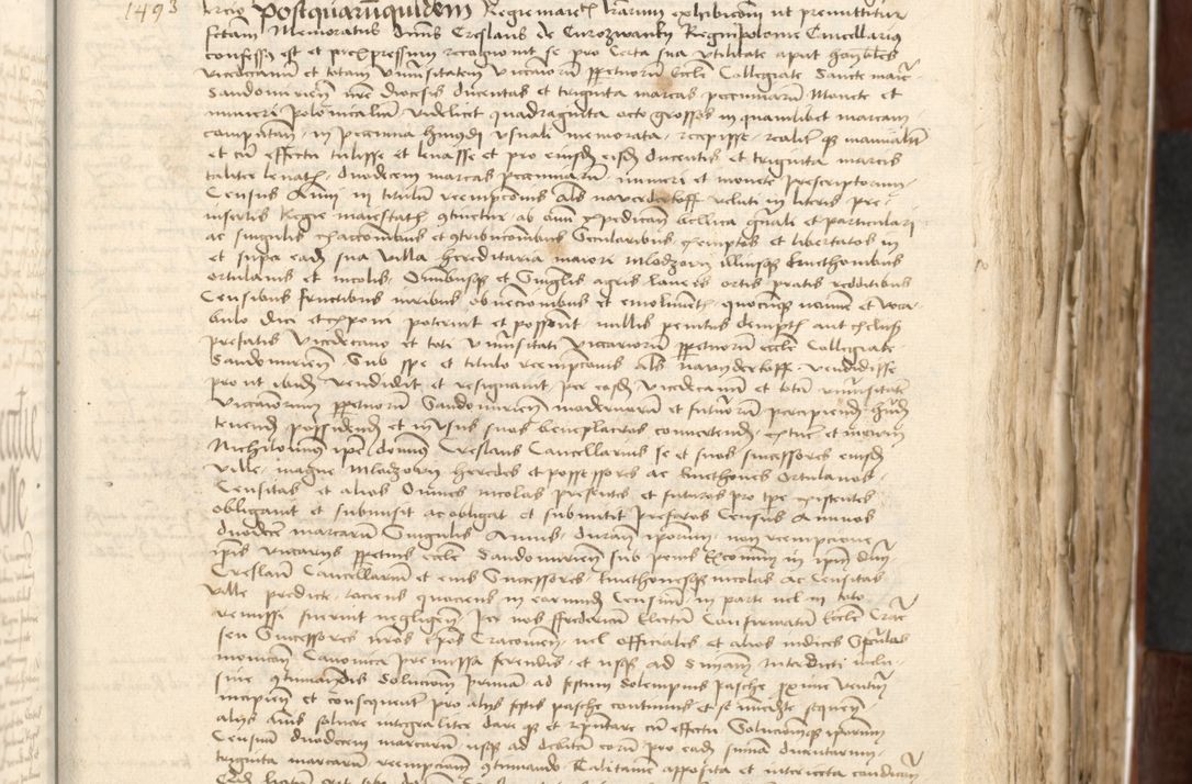 Zdjęcie nr 181 dla obiektu archiwalnego: Acta actoru[m coram venerabili viro] domino Joh[anne de Lathoschin, sacre] theologie [et decretorum] doctore [canonico et officiali Cracoviensi] generali [anno Domini millesimo] quadringen[tesimo nonagesimo tercio] indicione [XI, pontificatus sanctis]simi in Christo [patris domini nostri domini] Allexandri [divina providencia pape] sexti, anni [ipsius primo]