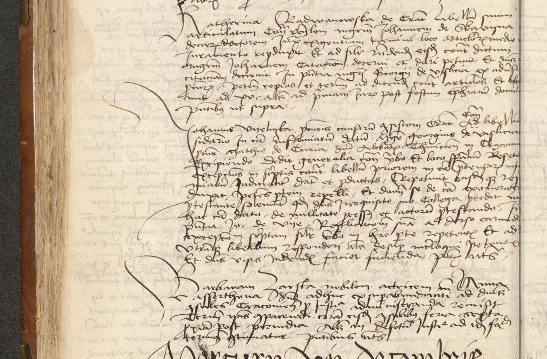 Zdjęcie nr 122 dla obiektu archiwalnego: Acta actoru[m coram venerabili viro] domino Joh[anne de Lathoschin, sacre] theologie [et decretorum] doctore [canonico et officiali Cracoviensi] generali [anno Domini millesimo] quadringen[tesimo nonagesimo tercio] indicione [XI, pontificatus sanctis]simi in Christo [patris domini nostri domini] Allexandri [divina providencia pape] sexti, anni [ipsius primo]