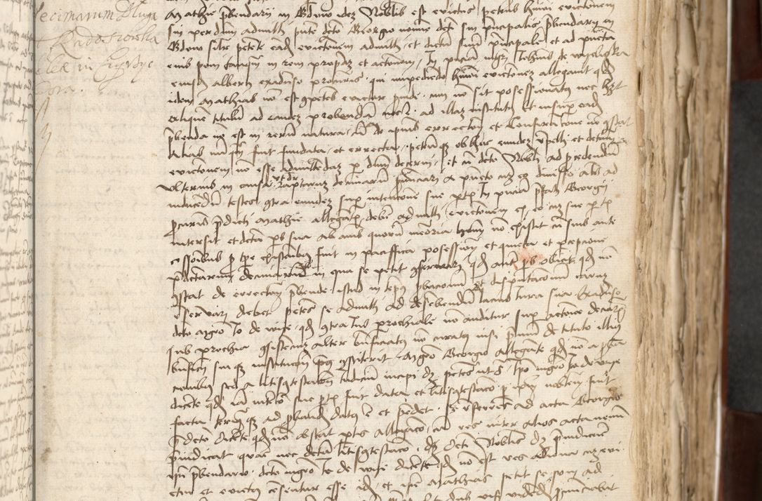 Zdjęcie nr 107 dla obiektu archiwalnego: Acta actoru[m coram venerabili viro] domino Joh[anne de Lathoschin, sacre] theologie [et decretorum] doctore [canonico et officiali Cracoviensi] generali [anno Domini millesimo] quadringen[tesimo nonagesimo tercio] indicione [XI, pontificatus sanctis]simi in Christo [patris domini nostri domini] Allexandri [divina providencia pape] sexti, anni [ipsius primo]