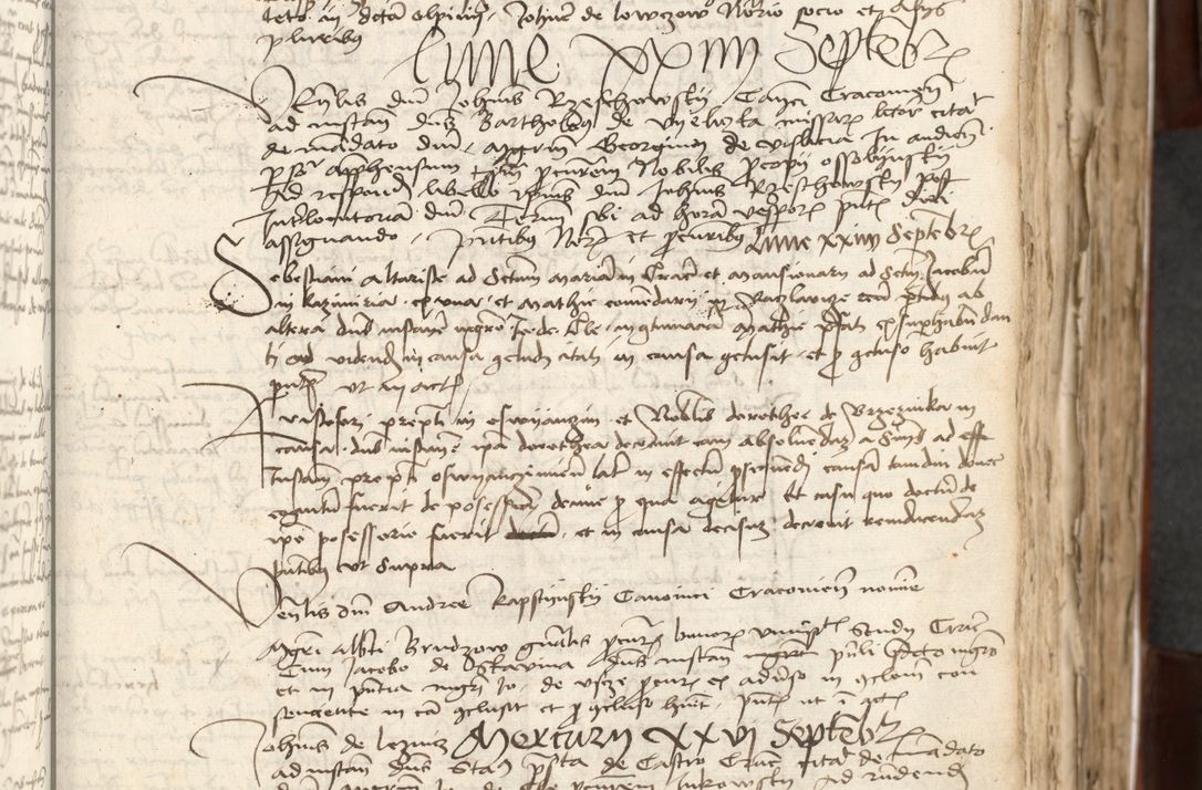 Zdjęcie nr 95 dla obiektu archiwalnego: Acta actoru[m coram venerabili viro] domino Joh[anne de Lathoschin, sacre] theologie [et decretorum] doctore [canonico et officiali Cracoviensi] generali [anno Domini millesimo] quadringen[tesimo nonagesimo tercio] indicione [XI, pontificatus sanctis]simi in Christo [patris domini nostri domini] Allexandri [divina providencia pape] sexti, anni [ipsius primo]