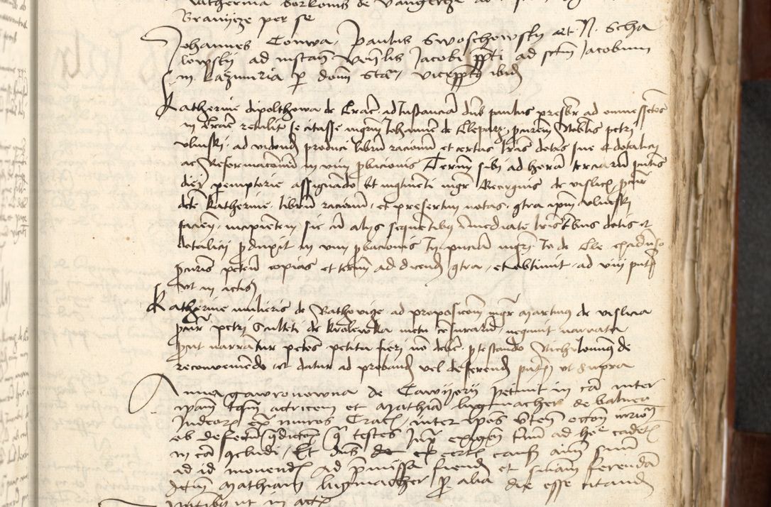 Zdjęcie nr 71 dla obiektu archiwalnego: Acta actoru[m coram venerabili viro] domino Joh[anne de Lathoschin, sacre] theologie [et decretorum] doctore [canonico et officiali Cracoviensi] generali [anno Domini millesimo] quadringen[tesimo nonagesimo tercio] indicione [XI, pontificatus sanctis]simi in Christo [patris domini nostri domini] Allexandri [divina providencia pape] sexti, anni [ipsius primo]