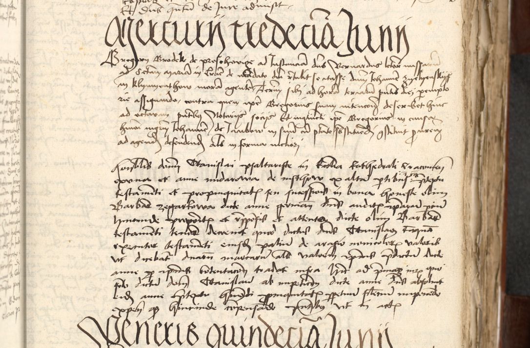 Zdjęcie nr 65 dla obiektu archiwalnego: Acta actoru[m coram venerabili viro] domino Joh[anne de Lathoschin, sacre] theologie [et decretorum] doctore [canonico et officiali Cracoviensi] generali [anno Domini millesimo] quadringen[tesimo nonagesimo tercio] indicione [XI, pontificatus sanctis]simi in Christo [patris domini nostri domini] Allexandri [divina providencia pape] sexti, anni [ipsius primo]