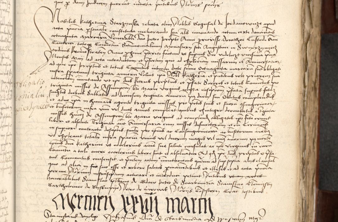 Zdjęcie nr 29 dla obiektu archiwalnego: Acta actoru[m coram venerabili viro] domino Joh[anne de Lathoschin, sacre] theologie [et decretorum] doctore [canonico et officiali Cracoviensi] generali [anno Domini millesimo] quadringen[tesimo nonagesimo tercio] indicione [XI, pontificatus sanctis]simi in Christo [patris domini nostri domini] Allexandri [divina providencia pape] sexti, anni [ipsius primo]