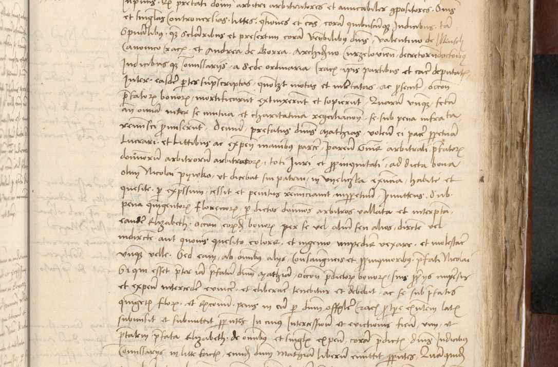 Zdjęcie nr 401 dla obiektu archiwalnego: Acta actoru[m coram venerabili viro] domino Joh[anne de Lathoschin, sacre] theologie [et decretorum] doctore [canonico et officiali Cracoviensi] generali [anno Domini millesimo] quadringen[tesimo nonagesimo tercio] indicione [XI, pontificatus sanctis]simi in Christo [patris domini nostri domini] Allexandri [divina providencia pape] sexti, anni [ipsius primo]