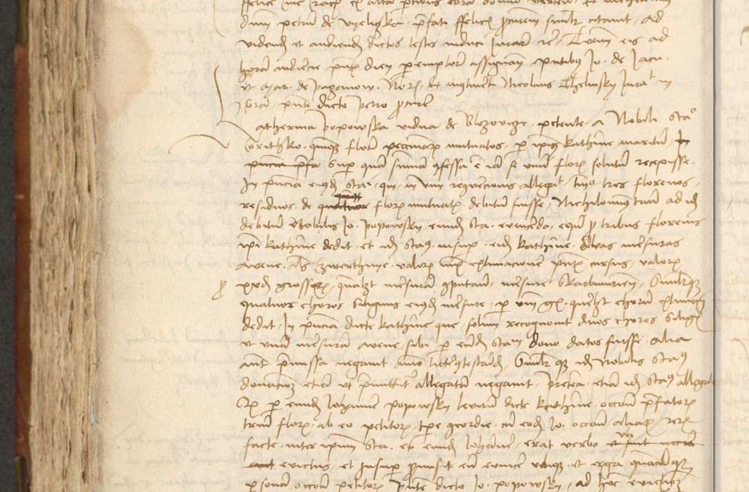 Zdjęcie nr 394 dla obiektu archiwalnego: Acta actoru[m coram venerabili viro] domino Joh[anne de Lathoschin, sacre] theologie [et decretorum] doctore [canonico et officiali Cracoviensi] generali [anno Domini millesimo] quadringen[tesimo nonagesimo tercio] indicione [XI, pontificatus sanctis]simi in Christo [patris domini nostri domini] Allexandri [divina providencia pape] sexti, anni [ipsius primo]