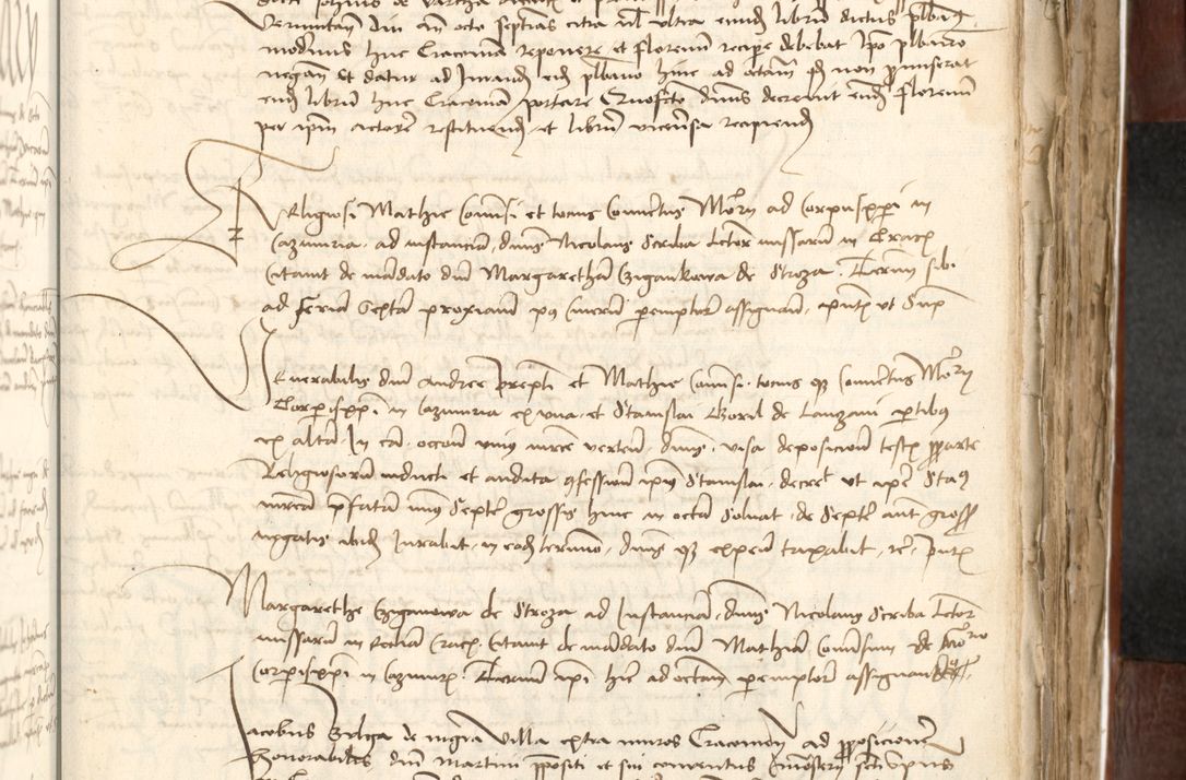 Zdjęcie nr 359 dla obiektu archiwalnego: Acta actoru[m coram venerabili viro] domino Joh[anne de Lathoschin, sacre] theologie [et decretorum] doctore [canonico et officiali Cracoviensi] generali [anno Domini millesimo] quadringen[tesimo nonagesimo tercio] indicione [XI, pontificatus sanctis]simi in Christo [patris domini nostri domini] Allexandri [divina providencia pape] sexti, anni [ipsius primo]