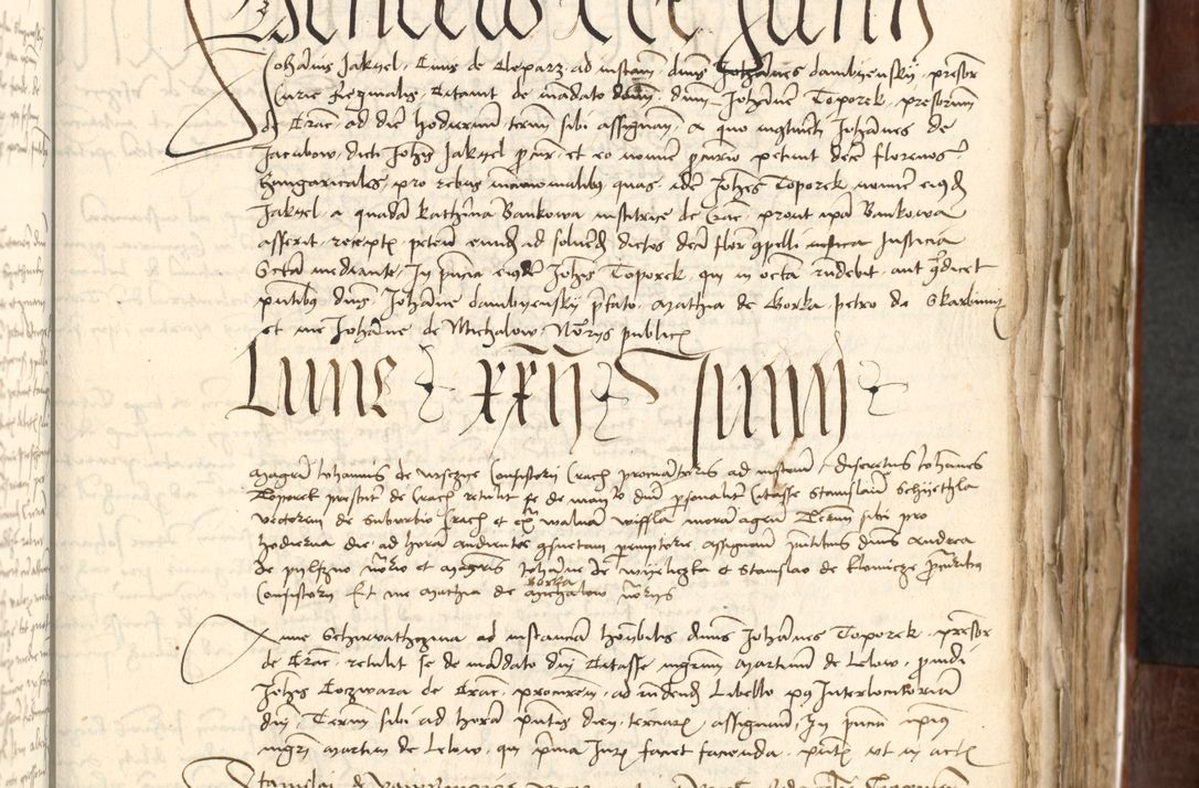 Zdjęcie nr 297 dla obiektu archiwalnego: Acta actoru[m coram venerabili viro] domino Joh[anne de Lathoschin, sacre] theologie [et decretorum] doctore [canonico et officiali Cracoviensi] generali [anno Domini millesimo] quadringen[tesimo nonagesimo tercio] indicione [XI, pontificatus sanctis]simi in Christo [patris domini nostri domini] Allexandri [divina providencia pape] sexti, anni [ipsius primo]