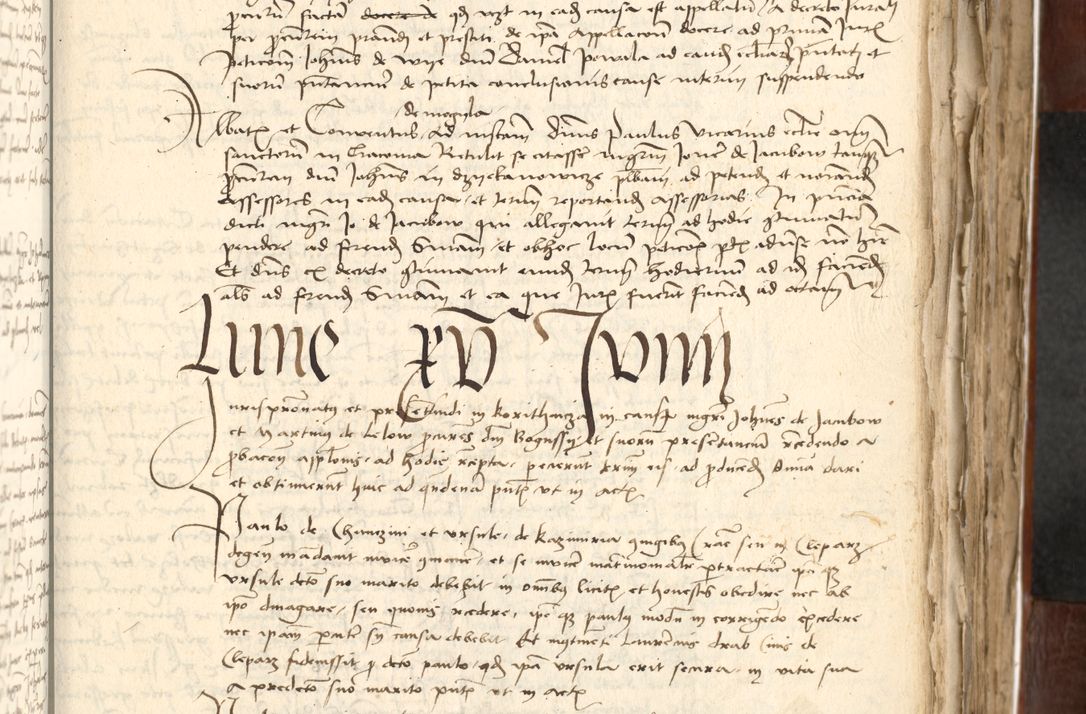 Zdjęcie nr 295 dla obiektu archiwalnego: Acta actoru[m coram venerabili viro] domino Joh[anne de Lathoschin, sacre] theologie [et decretorum] doctore [canonico et officiali Cracoviensi] generali [anno Domini millesimo] quadringen[tesimo nonagesimo tercio] indicione [XI, pontificatus sanctis]simi in Christo [patris domini nostri domini] Allexandri [divina providencia pape] sexti, anni [ipsius primo]