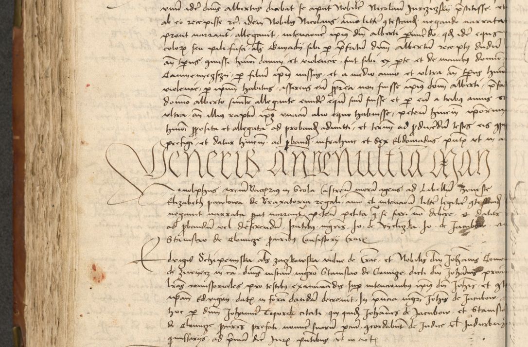 Zdjęcie nr 290 dla obiektu archiwalnego: Acta actoru[m coram venerabili viro] domino Joh[anne de Lathoschin, sacre] theologie [et decretorum] doctore [canonico et officiali Cracoviensi] generali [anno Domini millesimo] quadringen[tesimo nonagesimo tercio] indicione [XI, pontificatus sanctis]simi in Christo [patris domini nostri domini] Allexandri [divina providencia pape] sexti, anni [ipsius primo]