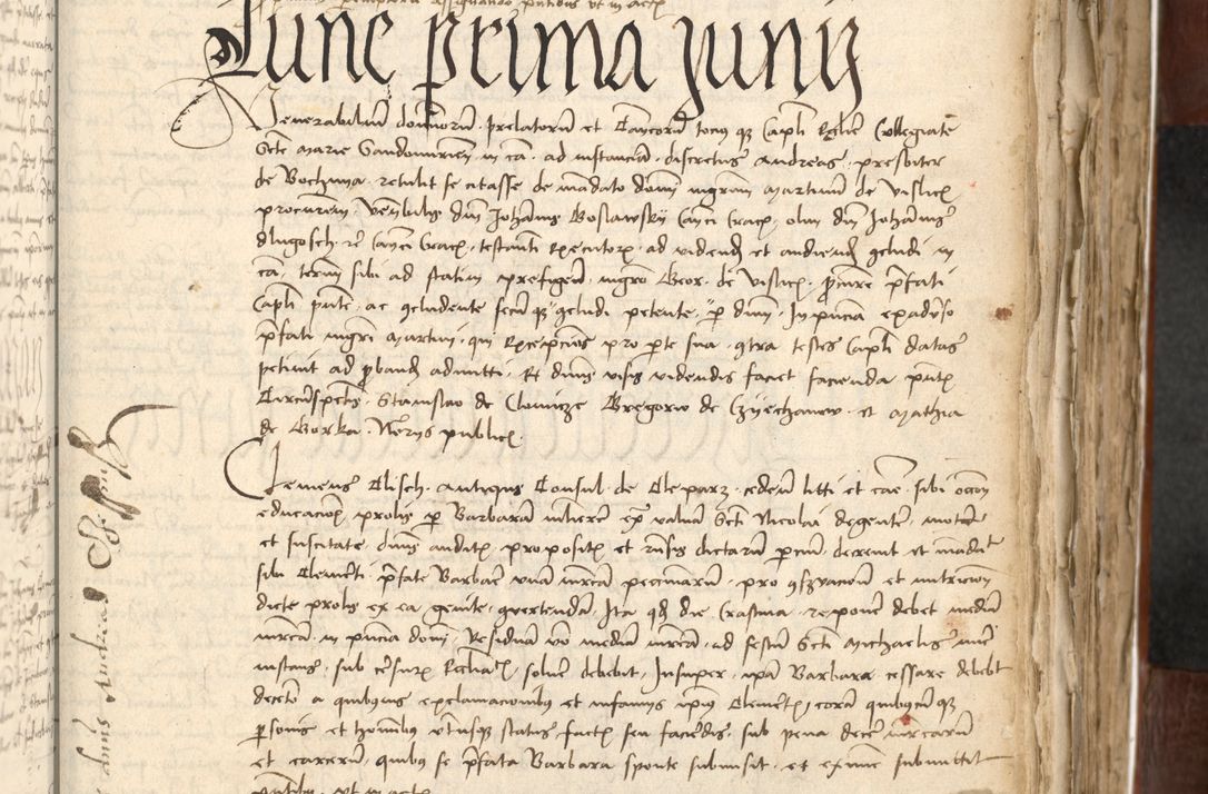 Zdjęcie nr 291 dla obiektu archiwalnego: Acta actoru[m coram venerabili viro] domino Joh[anne de Lathoschin, sacre] theologie [et decretorum] doctore [canonico et officiali Cracoviensi] generali [anno Domini millesimo] quadringen[tesimo nonagesimo tercio] indicione [XI, pontificatus sanctis]simi in Christo [patris domini nostri domini] Allexandri [divina providencia pape] sexti, anni [ipsius primo]