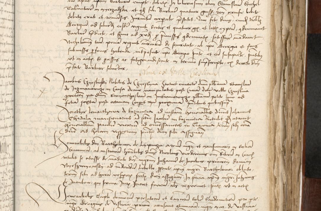 Zdjęcie nr 287 dla obiektu archiwalnego: Acta actoru[m coram venerabili viro] domino Joh[anne de Lathoschin, sacre] theologie [et decretorum] doctore [canonico et officiali Cracoviensi] generali [anno Domini millesimo] quadringen[tesimo nonagesimo tercio] indicione [XI, pontificatus sanctis]simi in Christo [patris domini nostri domini] Allexandri [divina providencia pape] sexti, anni [ipsius primo]