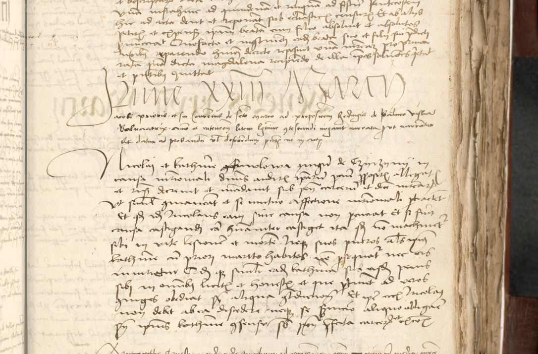 Zdjęcie nr 265 dla obiektu archiwalnego: Acta actoru[m coram venerabili viro] domino Joh[anne de Lathoschin, sacre] theologie [et decretorum] doctore [canonico et officiali Cracoviensi] generali [anno Domini millesimo] quadringen[tesimo nonagesimo tercio] indicione [XI, pontificatus sanctis]simi in Christo [patris domini nostri domini] Allexandri [divina providencia pape] sexti, anni [ipsius primo]