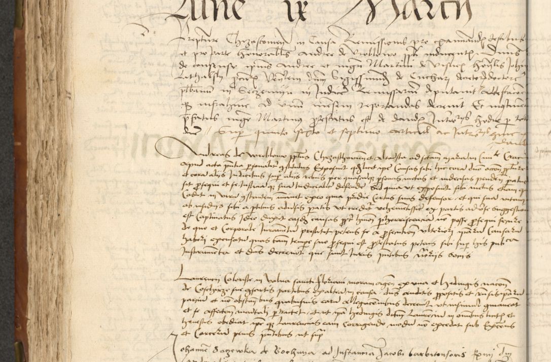 Zdjęcie nr 260 dla obiektu archiwalnego: Acta actoru[m coram venerabili viro] domino Joh[anne de Lathoschin, sacre] theologie [et decretorum] doctore [canonico et officiali Cracoviensi] generali [anno Domini millesimo] quadringen[tesimo nonagesimo tercio] indicione [XI, pontificatus sanctis]simi in Christo [patris domini nostri domini] Allexandri [divina providencia pape] sexti, anni [ipsius primo]