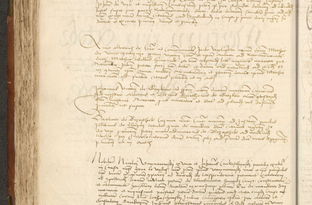 Zdjęcie nr 220 dla obiektu archiwalnego: Acta actoru[m coram venerabili viro] domino Joh[anne de Lathoschin, sacre] theologie [et decretorum] doctore [canonico et officiali Cracoviensi] generali [anno Domini millesimo] quadringen[tesimo nonagesimo tercio] indicione [XI, pontificatus sanctis]simi in Christo [patris domini nostri domini] Allexandri [divina providencia pape] sexti, anni [ipsius primo]