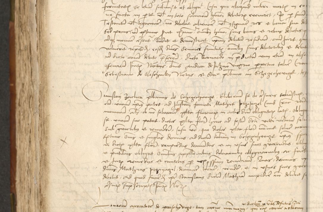 Zdjęcie nr 494 dla obiektu archiwalnego: Acta actoru[m coram venerabili viro] domino Joh[anne de Lathoschin, sacre] theologie [et decretorum] doctore [canonico et officiali Cracoviensi] generali [anno Domini millesimo] quadringen[tesimo nonagesimo tercio] indicione [XI, pontificatus sanctis]simi in Christo [patris domini nostri domini] Allexandri [divina providencia pape] sexti, anni [ipsius primo]