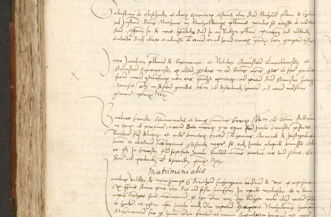 Zdjęcie nr 490 dla obiektu archiwalnego: Acta actoru[m coram venerabili viro] domino Joh[anne de Lathoschin, sacre] theologie [et decretorum] doctore [canonico et officiali Cracoviensi] generali [anno Domini millesimo] quadringen[tesimo nonagesimo tercio] indicione [XI, pontificatus sanctis]simi in Christo [patris domini nostri domini] Allexandri [divina providencia pape] sexti, anni [ipsius primo]