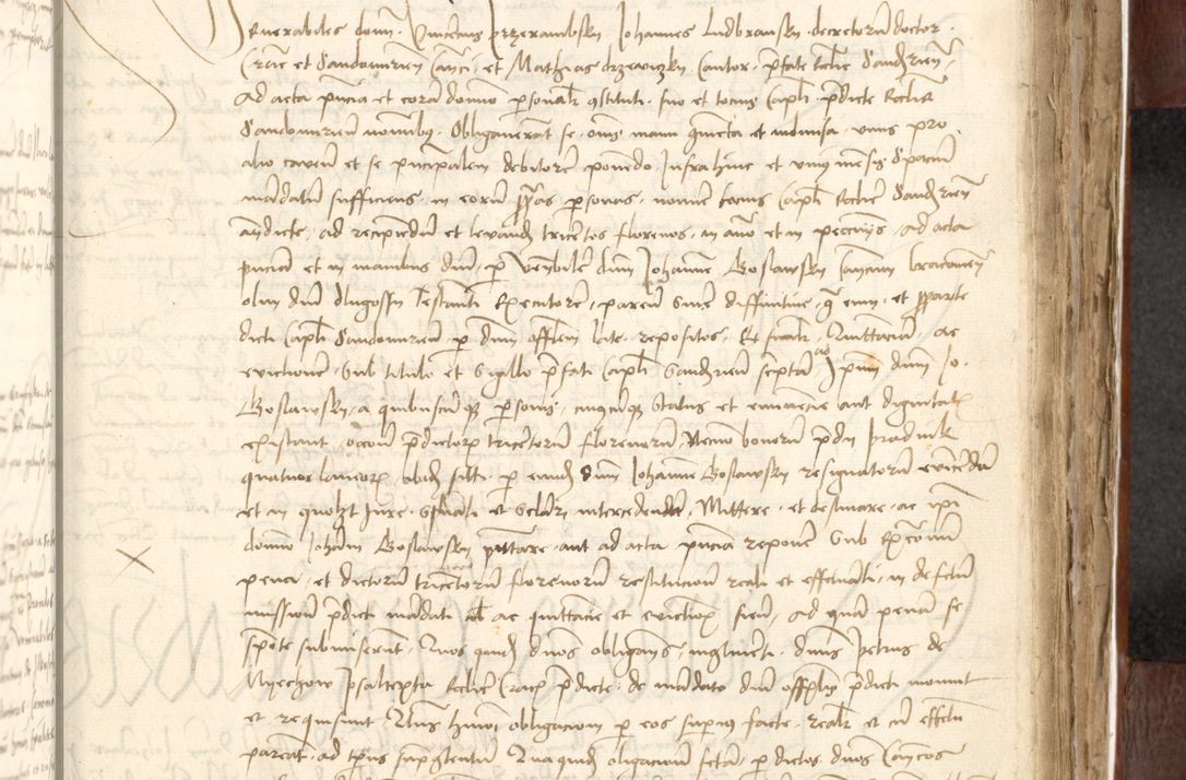 Zdjęcie nr 433 dla obiektu archiwalnego: Acta actoru[m coram venerabili viro] domino Joh[anne de Lathoschin, sacre] theologie [et decretorum] doctore [canonico et officiali Cracoviensi] generali [anno Domini millesimo] quadringen[tesimo nonagesimo tercio] indicione [XI, pontificatus sanctis]simi in Christo [patris domini nostri domini] Allexandri [divina providencia pape] sexti, anni [ipsius primo]