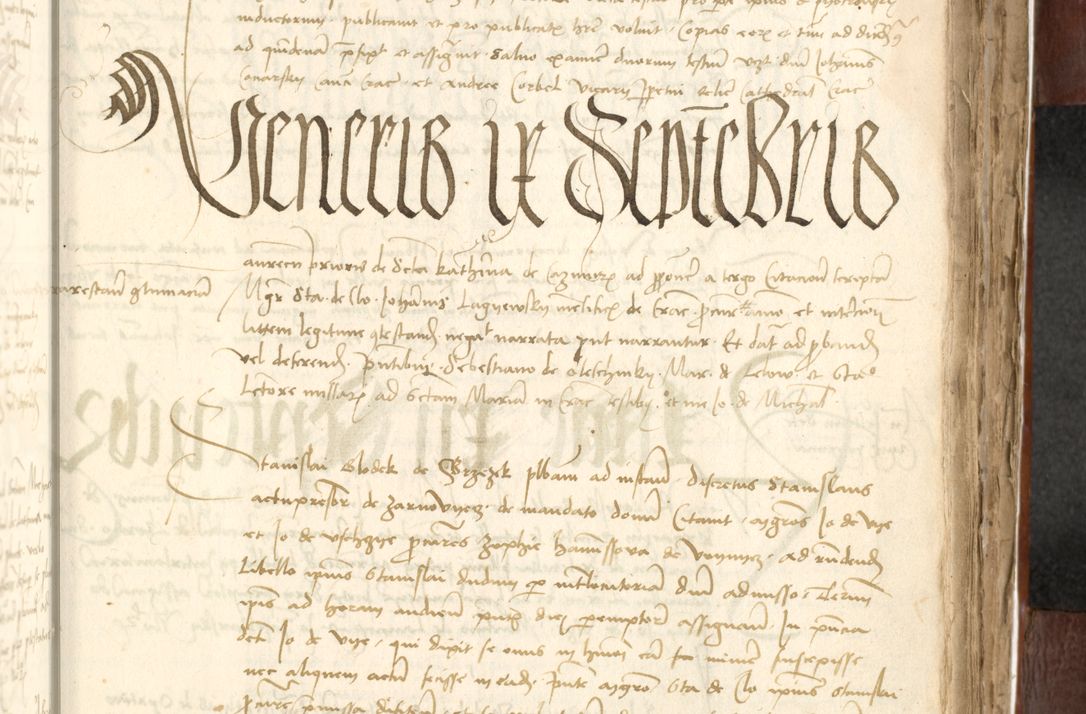 Zdjęcie nr 419 dla obiektu archiwalnego: Acta actoru[m coram venerabili viro] domino Joh[anne de Lathoschin, sacre] theologie [et decretorum] doctore [canonico et officiali Cracoviensi] generali [anno Domini millesimo] quadringen[tesimo nonagesimo tercio] indicione [XI, pontificatus sanctis]simi in Christo [patris domini nostri domini] Allexandri [divina providencia pape] sexti, anni [ipsius primo]