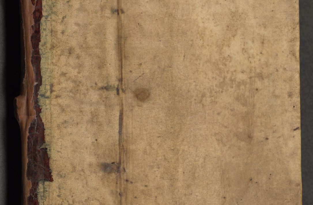 Zdjęcie nr 1 dla obiektu archiwalnego: Acta causarum coram venerendo patre domino Johanne de Goslaw canonico, vicario in spiritualibus generali Cracoviensi ad annum millesimum quadringentesimum nonagesimum octavum, indicione prima, pontificatus sanctissimi domini nostri domini Allexandri pape sexti, anno ipsius sexto