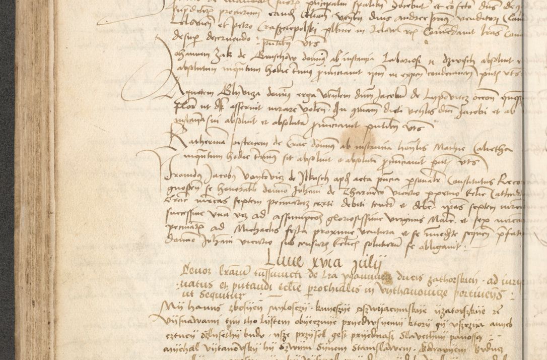 Zdjęcie nr 109 dla obiektu archiwalnego: Acta causarum coram venerendo patre domino Johanne de Goslaw canonico, vicario in spiritualibus generali Cracoviensi ad annum millesimum quadringentesimum nonagesimum octavum, indicione prima, pontificatus sanctissimi domini nostri domini Allexandri pape sexti, anno ipsius sexto