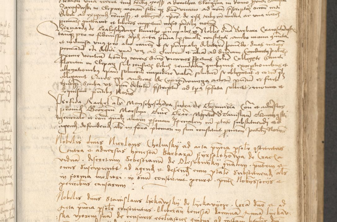 Zdjęcie nr 208 dla obiektu archiwalnego: Acta causarum coram venerendo patre domino Johanne de Goslaw canonico, vicario in spiritualibus generali Cracoviensi ad annum millesimum quadringentesimum nonagesimum octavum, indicione prima, pontificatus sanctissimi domini nostri domini Allexandri pape sexti, anno ipsius sexto