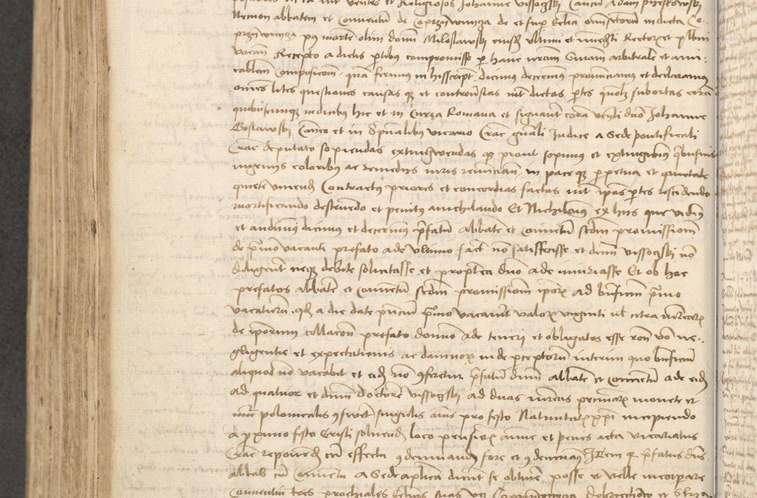 Zdjęcie nr 367 dla obiektu archiwalnego: Acta causarum coram venerendo patre domino Johanne de Goslaw canonico, vicario in spiritualibus generali Cracoviensi ad annum millesimum quadringentesimum nonagesimum octavum, indicione prima, pontificatus sanctissimi domini nostri domini Allexandri pape sexti, anno ipsius sexto