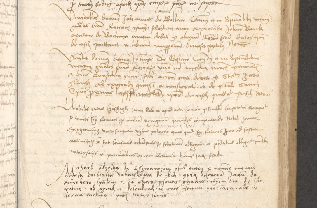 Zdjęcie nr 338 dla obiektu archiwalnego: Acta causarum coram venerendo patre domino Johanne de Goslaw canonico, vicario in spiritualibus generali Cracoviensi ad annum millesimum quadringentesimum nonagesimum octavum, indicione prima, pontificatus sanctissimi domini nostri domini Allexandri pape sexti, anno ipsius sexto