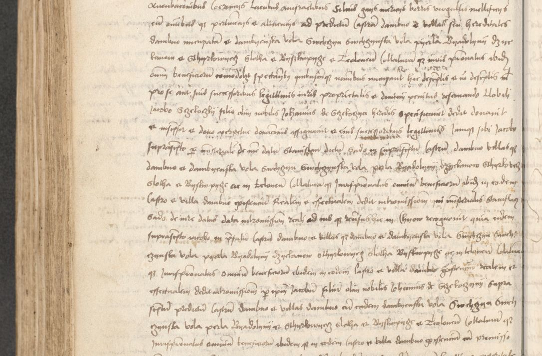 Zdjęcie nr 313 dla obiektu archiwalnego: Acta causarum coram venerendo patre domino Johanne de Goslaw canonico, vicario in spiritualibus generali Cracoviensi ad annum millesimum quadringentesimum nonagesimum octavum, indicione prima, pontificatus sanctissimi domini nostri domini Allexandri pape sexti, anno ipsius sexto