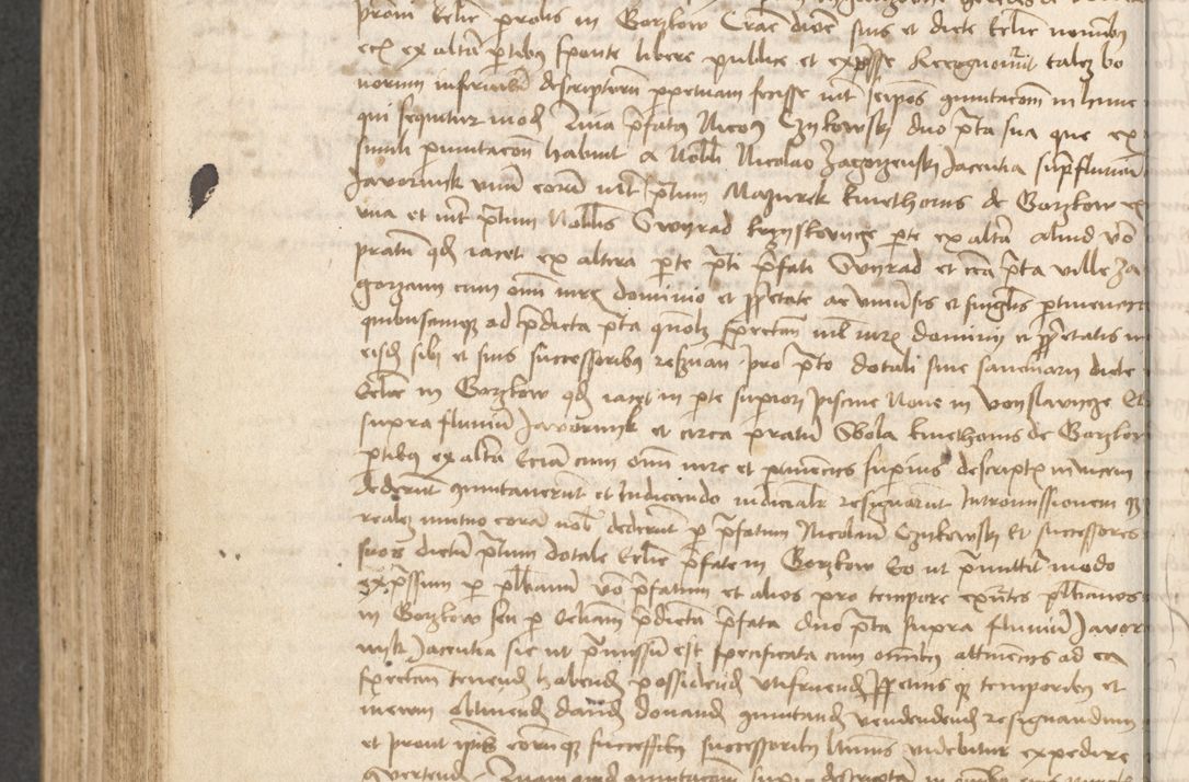 Zdjęcie nr 307 dla obiektu archiwalnego: Acta causarum coram venerendo patre domino Johanne de Goslaw canonico, vicario in spiritualibus generali Cracoviensi ad annum millesimum quadringentesimum nonagesimum octavum, indicione prima, pontificatus sanctissimi domini nostri domini Allexandri pape sexti, anno ipsius sexto