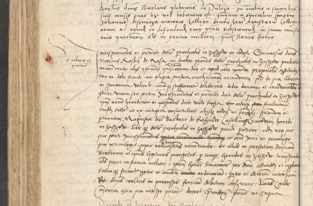 Zdjęcie nr 259 dla obiektu archiwalnego: Acta causarum coram venerendo patre domino Johanne de Goslaw canonico, vicario in spiritualibus generali Cracoviensi ad annum millesimum quadringentesimum nonagesimum octavum, indicione prima, pontificatus sanctissimi domini nostri domini Allexandri pape sexti, anno ipsius sexto