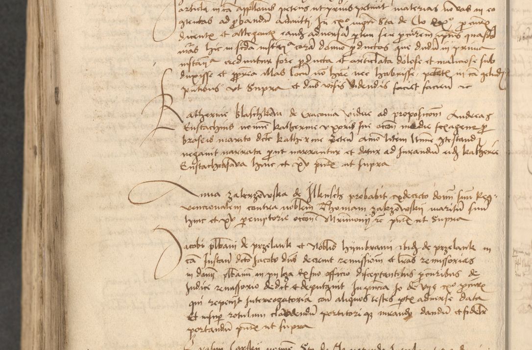 Zdjęcie nr 639 dla obiektu archiwalnego: Acta causarum coram venerendo patre domino Johanne de Goslaw canonico, vicario in spiritualibus generali Cracoviensi ad annum millesimum quadringentesimum nonagesimum octavum, indicione prima, pontificatus sanctissimi domini nostri domini Allexandri pape sexti, anno ipsius sexto