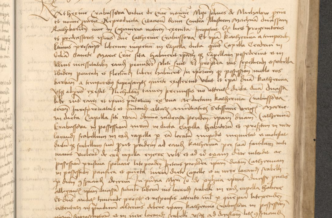 Zdjęcie nr 518 dla obiektu archiwalnego: Acta causarum coram venerendo patre domino Johanne de Goslaw canonico, vicario in spiritualibus generali Cracoviensi ad annum millesimum quadringentesimum nonagesimum octavum, indicione prima, pontificatus sanctissimi domini nostri domini Allexandri pape sexti, anno ipsius sexto