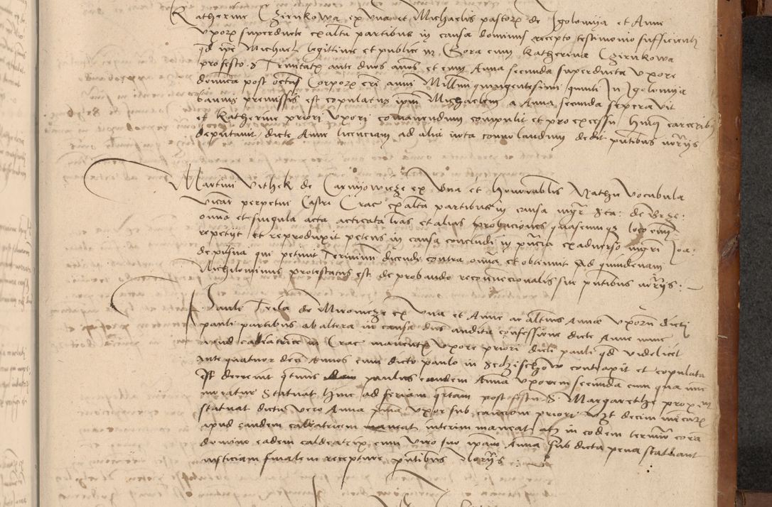 Zdjęcie nr 538 dla obiektu archiwalnego: [Acta actorum officialia coram Johanne de Starzechowicze]